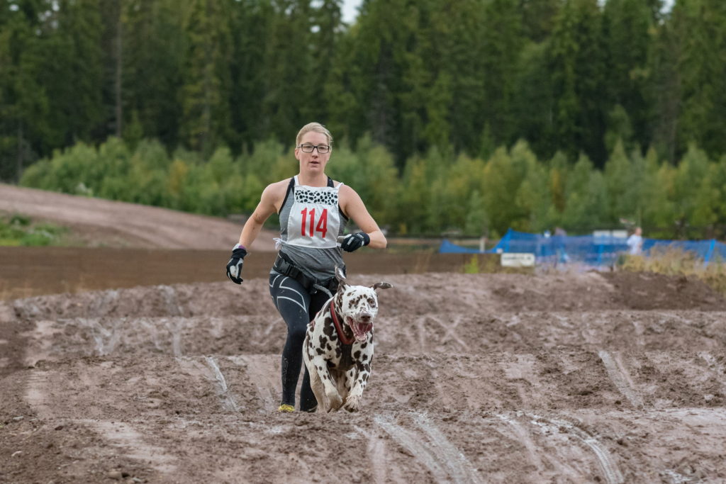 Hanna Norin med Christina Holms hund Pacy. Tvåa i klassen canicross damer senior, grupp B. Foto: Torbjörn Jonsson.